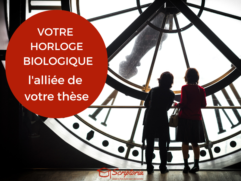 rédiger sa thèse : l'horloge biologique est votre alliée